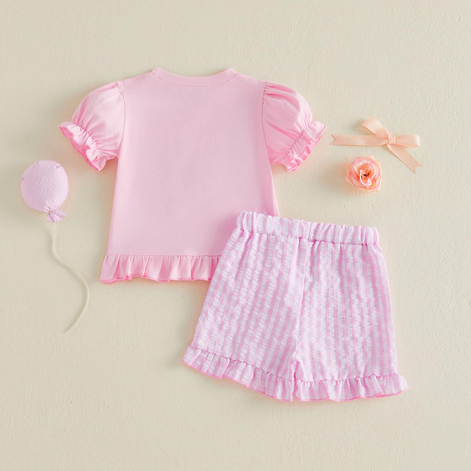 Rtnnsbbfcm Toddler Baby Girl Birthday Outfit Goose Embroidery Puff Sleeve Shirt Tops Ruffle Shorts Sets Cute Summer Clothes