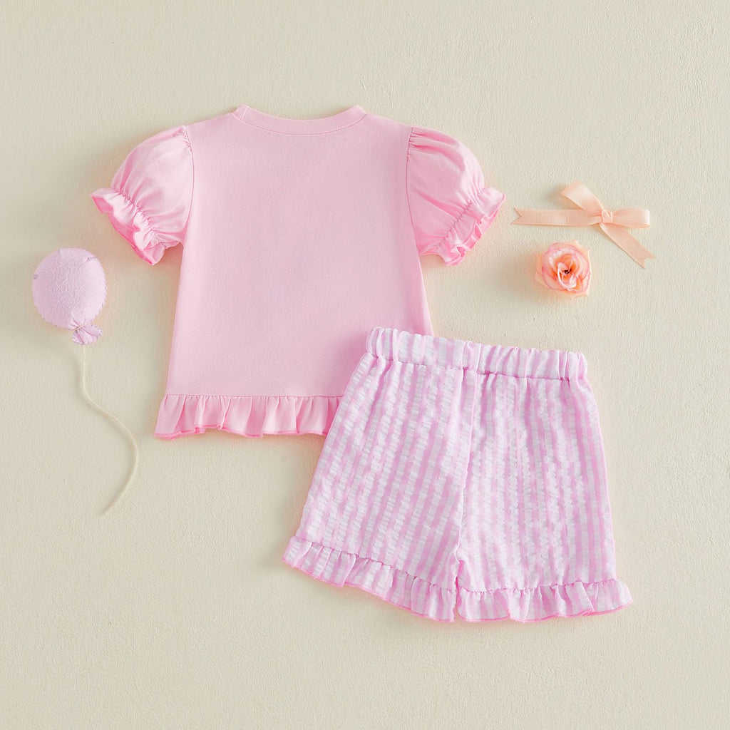 Rtnnsbbfcm Toddler Baby Girl Birthday Outfit Goose Embroidery Puff Sleeve Shirt Tops Ruffle Shorts Sets Cute Summer Clothes
