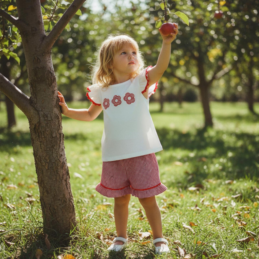 Toddler Baby Girl Outfit Summer Fly Sleeve Dessert House/Floral Embroidery T-shirt Top Shorts Pants 2PCS Clothes Set