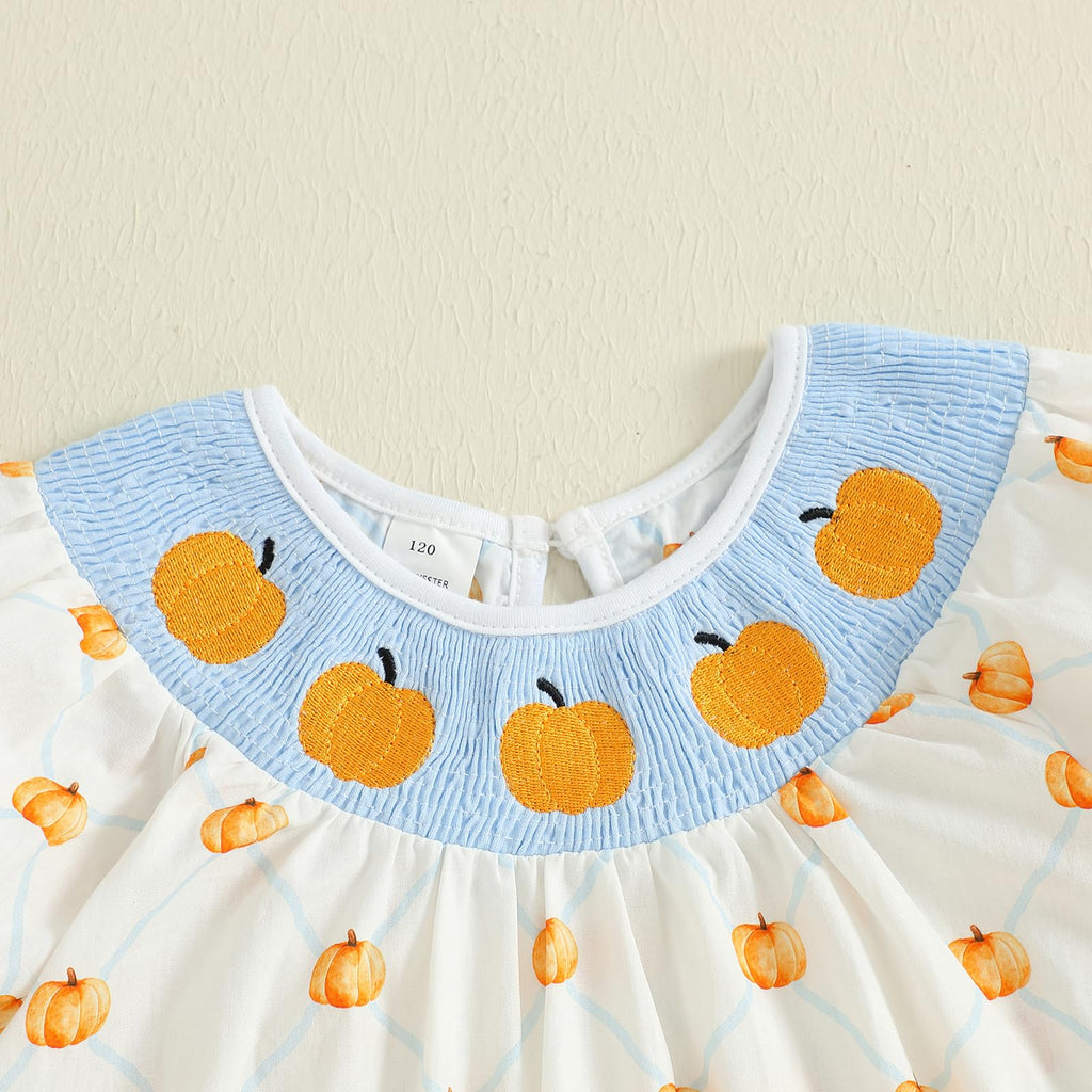 Birthday Girl Outfit Toddler Smocked Birthday Dress B Day Dresses for Girls 2nd 3rd 4yr 5yr Birthday Gift