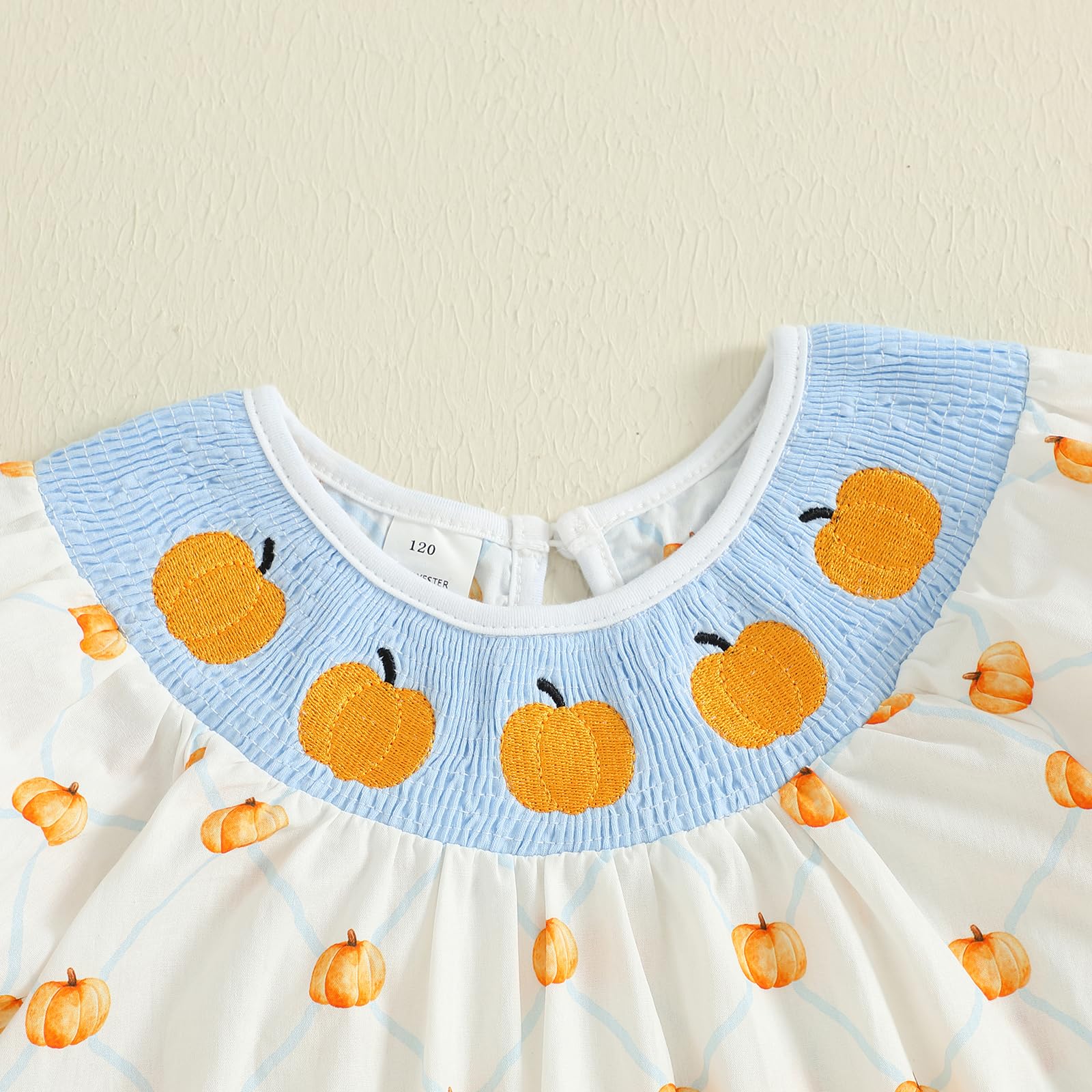 Birthday Girl Outfit Toddler Smocked Birthday Dress B Day Dresses for Girls 2nd 3rd 4yr 5yr Birthday Gift