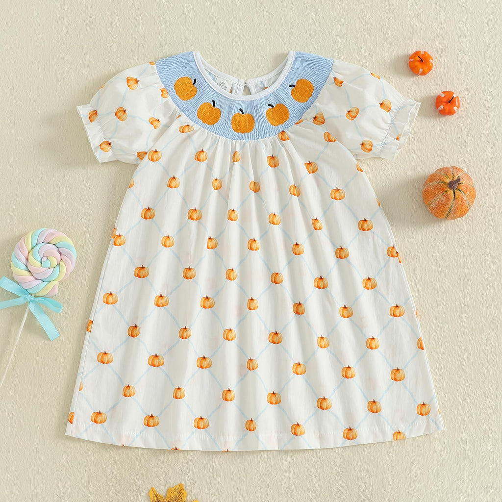 Birthday Girl Outfit Toddler Smocked Birthday Dress B Day Dresses for Girls 2nd 3rd 4yr 5yr Birthday Gift