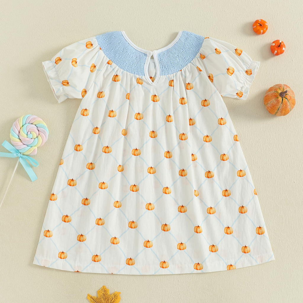 Birthday Girl Outfit Toddler Smocked Birthday Dress B Day Dresses for Girls 2nd 3rd 4yr 5yr Birthday Gift