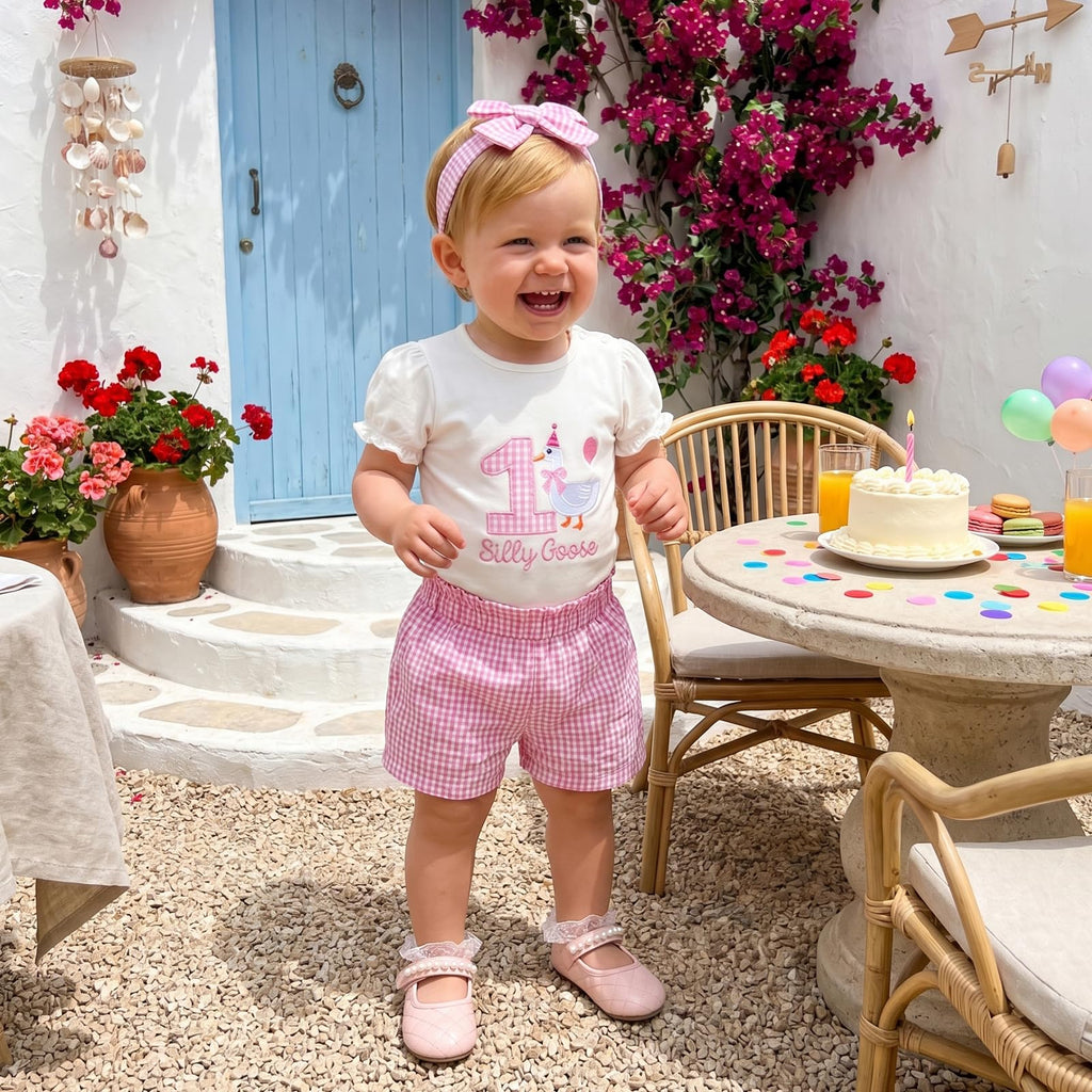 Baby Girl 1st First Birthday Outfit One Silly Goose Romper Short Sleeve Onesie Plaid Shorts Set Cake Smash Clothes