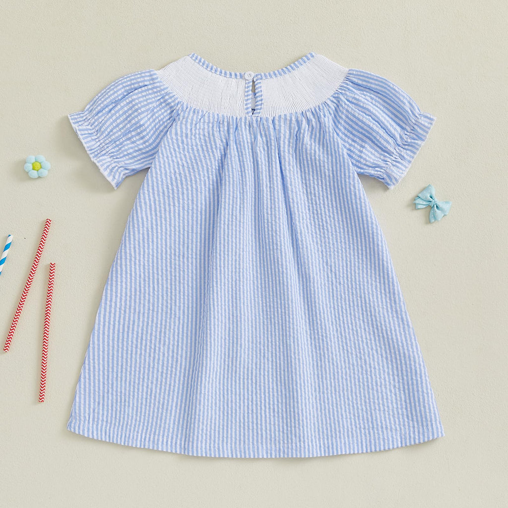 Birthday Girl Outfit Toddler Smocked Birthday Dress B Day Dresses for Girls 2nd 3rd 4yr 5yr Birthday Gift