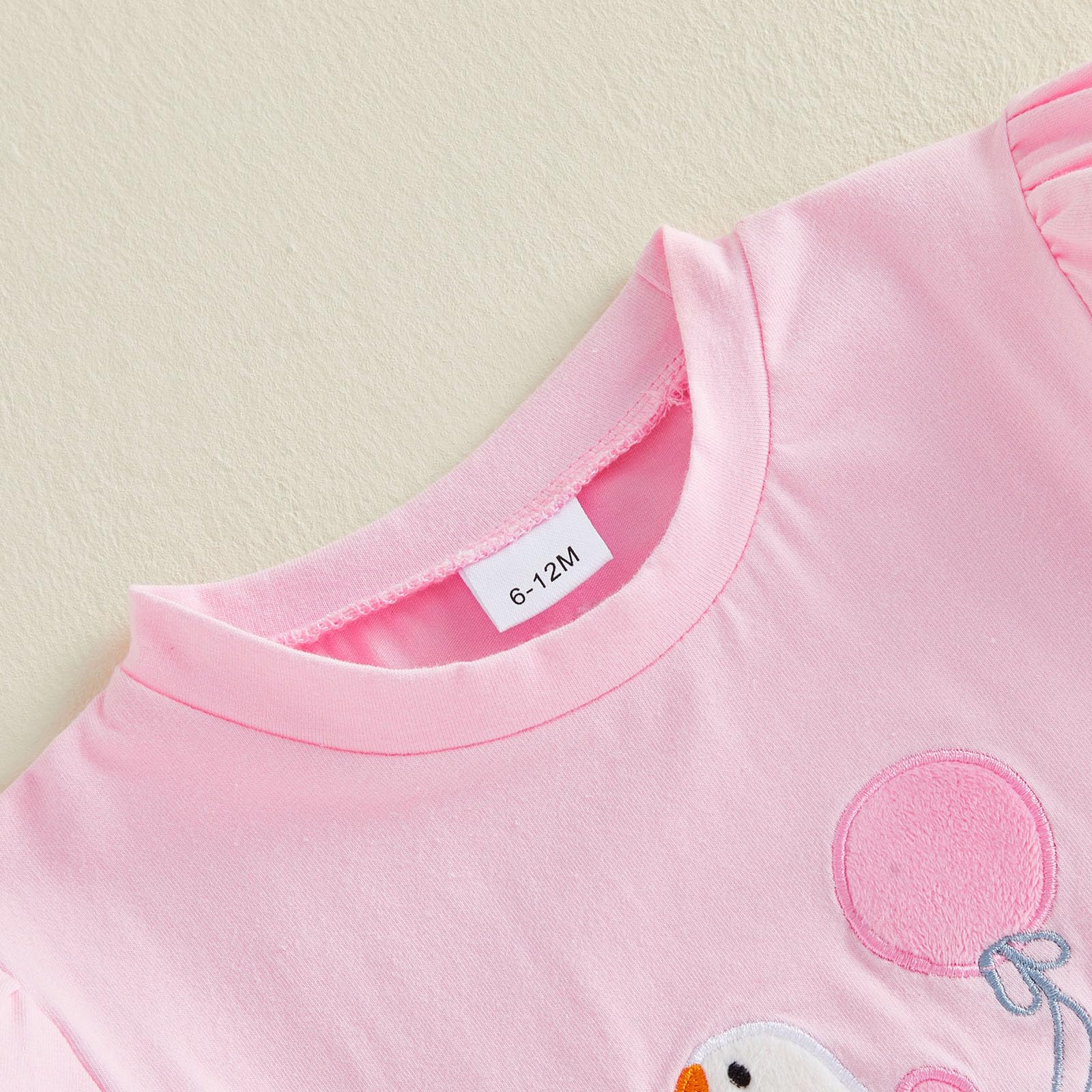 Rtnnsbbfcm Toddler Baby Girl Birthday Outfit Goose Embroidery Puff Sleeve Shirt Tops Ruffle Shorts Sets Cute Summer Clothes