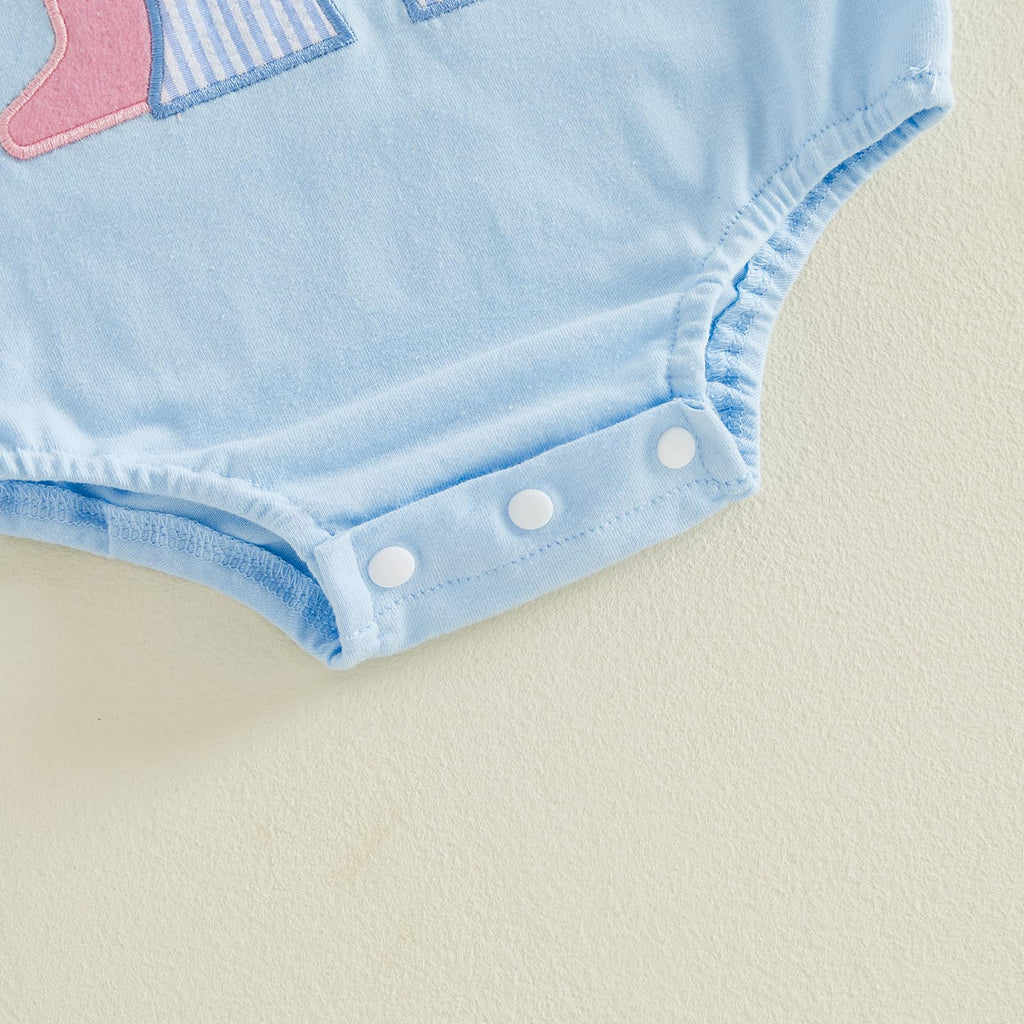 Baby Girl First Birthday Outfit Puff Short Sleeve Romper Bodysuit 1 Cake Embroidery Cake Smash Jumpsuit Clothes