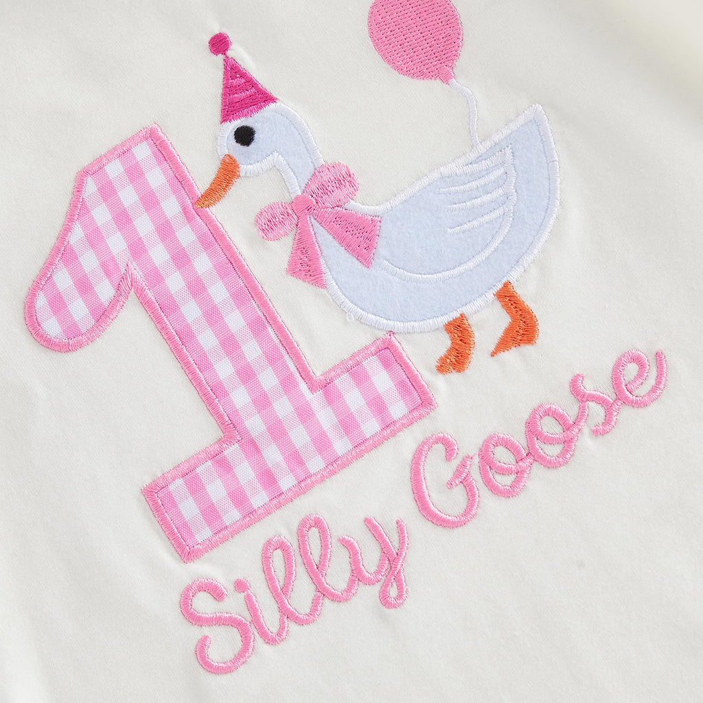 Baby Girl 1st First Birthday Outfit One Silly Goose Romper Short Sleeve Onesie Plaid Shorts Set Cake Smash Clothes